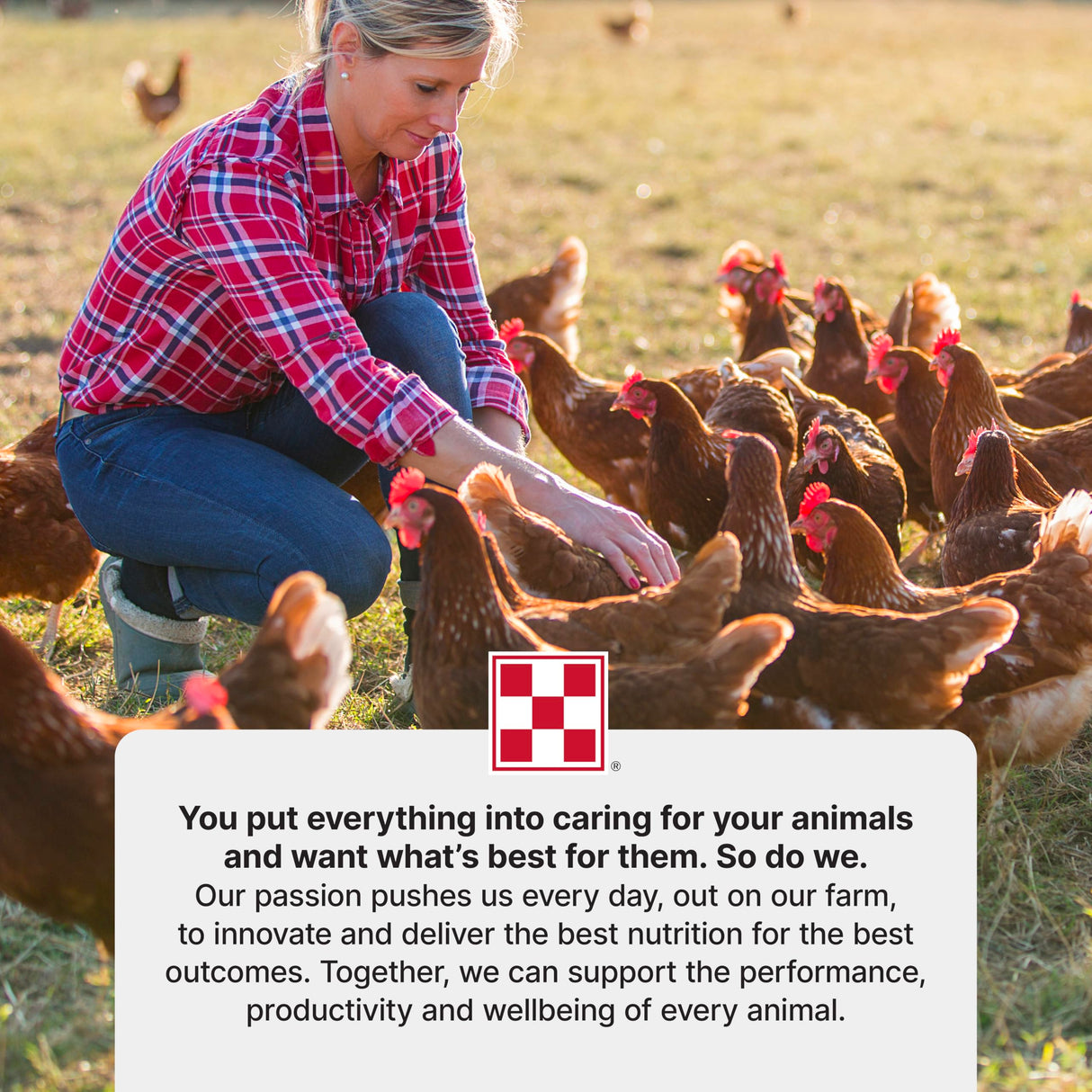 Purina Start & Grow | Nutritionally Complete Medicated Chick Feed Crumbles | 5 Pound (5 lb.) Bag