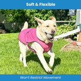 DOGZSTUFF Dog Cooling Vest – Lightweight Evaporative Shirt with UV Protection for Small, Medium, and Large Dogs – Breathable Soft Fabric for Hot Weather (S, Dark Blue)
