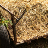 High Desert 2nd Cutting Timothy Hay for Rabbits, Guinea Pigs, Chinchillas and Small Pets, Soft Leafy for Daily Feeding and Digestive Health, Natural Rabbit Food and Guinea Pig Hay for Hay, 4 Lb Box