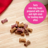 Milk-Bone Mini's Flavor Snacks Dog Treats, 35 Ounce Refill Packs (Pack of 2) Crunchy Texture Helps Reduce Tartar