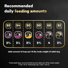 Load image into Gallery viewer, Cesar Wet Dog Food Steak Lovers Variety Pack, Adult, Wet Food for Dogs with Real Meat, 3.5 oz Easy Peel Trays, 36 Count
