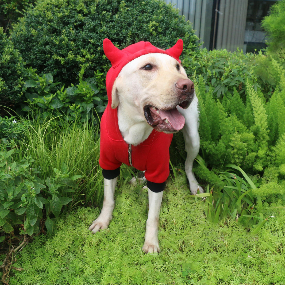 ARUNNERS Extra Large Dog Little Devil Christmas Costumes Zipper Hoodies Clothes for Rottweiler Cane Corso, Red, 6X-Large