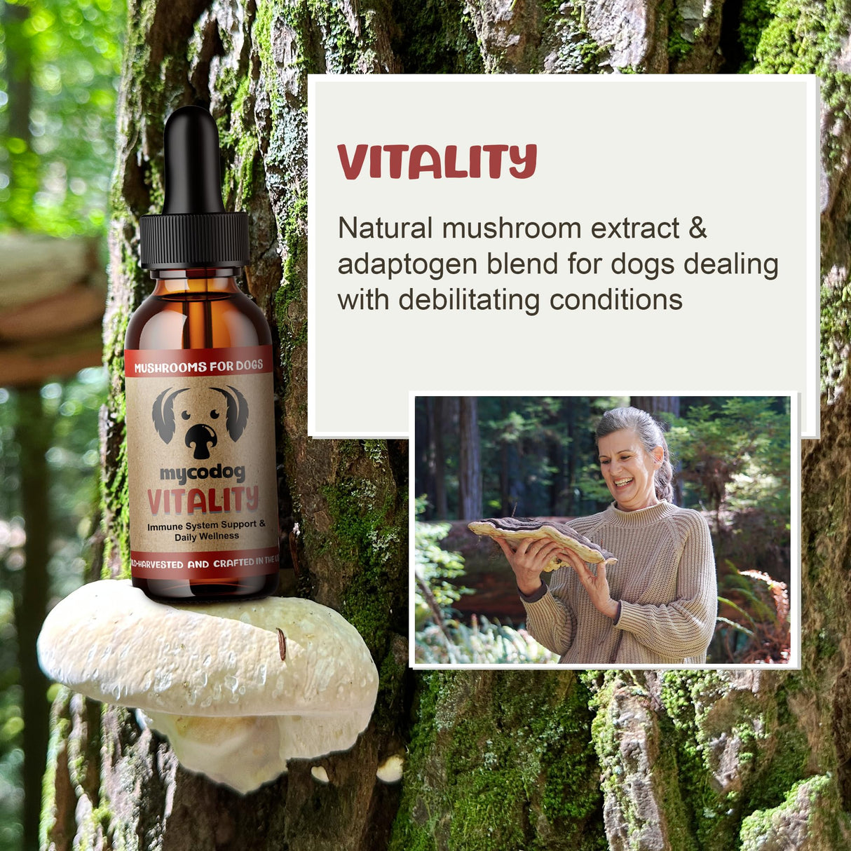 MycoDog Vitality - Turkey Tail Mushroom for Dogs - Mushroom & Adaptogen Supplement for Senior Dogs - Supporting Immune Health & Daily Wellness - with Reishi, Chaga
