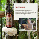 MycoDog Vitality - Turkey Tail Mushroom for Dogs - Mushroom & Adaptogen Supplement for Senior Dogs - Supporting Immune Health & Daily Wellness - with Reishi, Chaga
