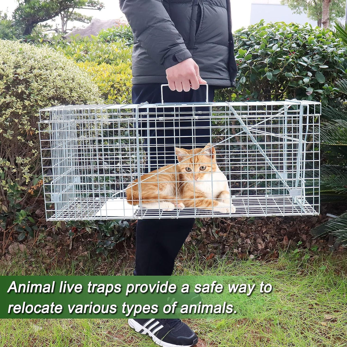 2023 Upgraded Reinforced Animal Traps,Rabbit Traps,33in Live Animal Cage for Squirrels,Stray Cats Trap, Live Traps for Raccoons, Stainless Steel Foldable with Pedal Triggers(33x12x13inch)