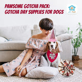 JT PET Dog Gotcha Day Party Pack with Bandana, Star Spangled Adjustable Elastic Party Hat with Tassels and Feathery Trim, Vegan Pie Included, Pink Girl, Small