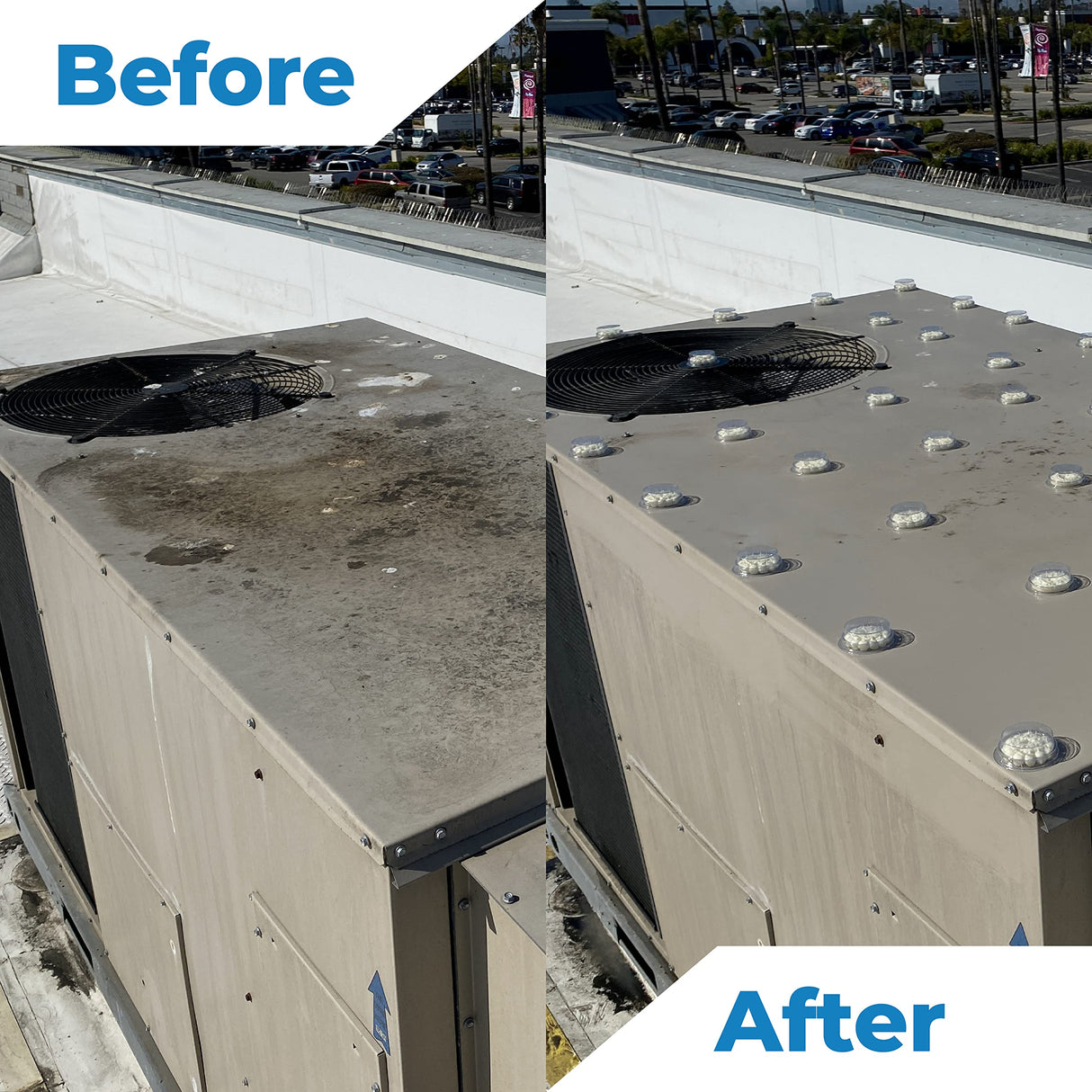 Bird Barrier Dissolve-It Enzyme Cleaner - Bird Dropping Cleaner - Dissolves Waste – Treat Affected Areas Before Installing Bird Control Products - Bird Cage Cleaner - 1 Gallon Makes 2 Gallons