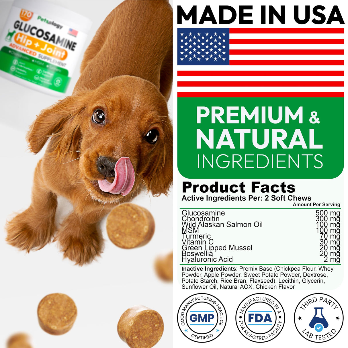 Petsology Glucosamine for Dogs - Hip and Joint Supplement for Dogs - 170 Mobility Chews - Glucosamine Chondroitin - MSM - Turmeric - Joint Pain Relief - Advanced Support for Dog Health - Made in USA