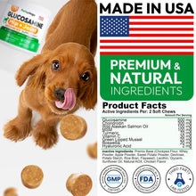 Load image into Gallery viewer, Petsology Glucosamine for Dogs - Hip and Joint Supplement for Dogs - 170 Mobility Chews - Glucosamine Chondroitin - MSM - Turmeric - Joint Pain Relief - Advanced Support for Dog Health - Made in USA
