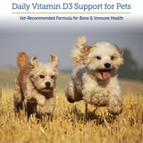Rx Vitamins Rx D3 - Cat & Dog Vitamins Liquid D3 Drops in MCT Oil - Vitamin D for Dogs & Cats to Manage Deficiency - Aids in Dog Immune Support and Calcium Absorption - Pet Vitamin D3-2oz