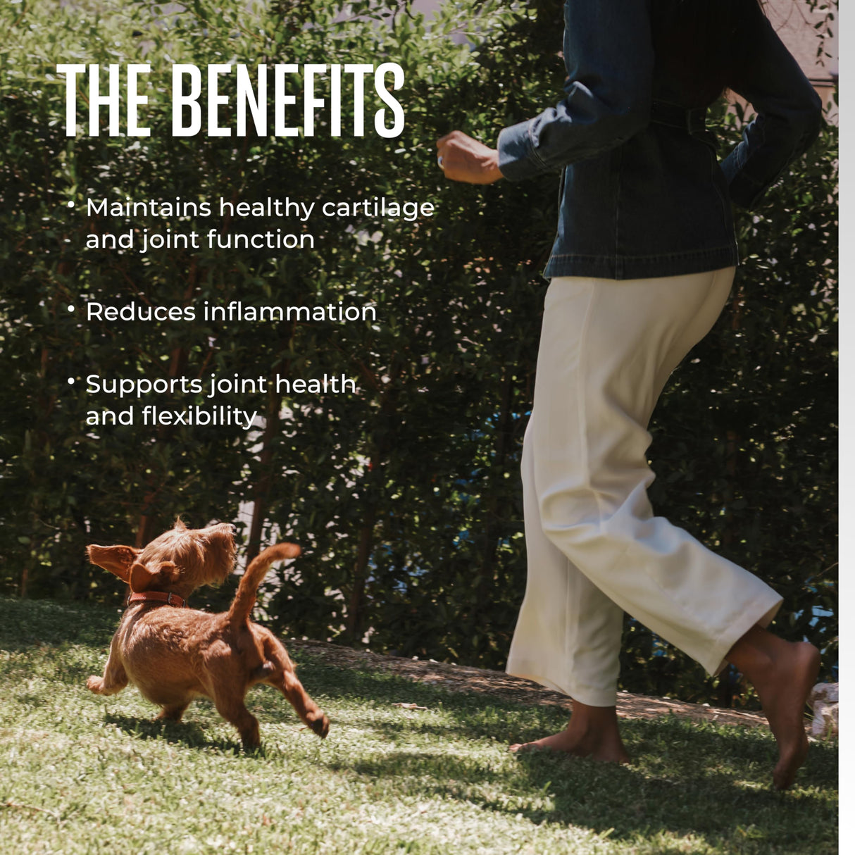 WagWell Mobility Chews – Vet-Formulated, All Natural, Made in The USA – Joint Supplement for Dogs with Glucosamine & Chondroitin – Helps Reduce Inflammation & Promotes Joint Health, 60 Chews
