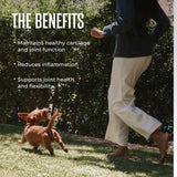 WagWell Mobility Chews – Vet-Formulated, All Natural, Made in The USA – Joint Supplement for Dogs with Glucosamine & Chondroitin – Helps Reduce Inflammation & Promotes Joint Health, 60 Chews