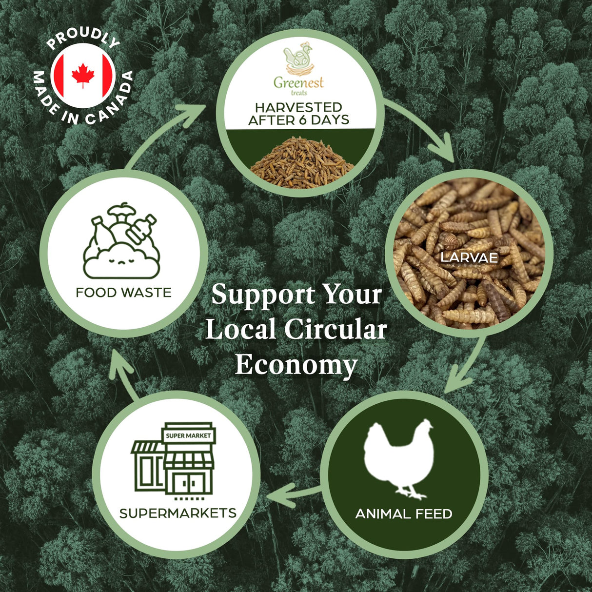 Dried Black Soldier Fly Larvae for Chickens & Ducks – Treats for Ducks, Hens, Wild Birds, Lizards, Tortoises & Fish – All Natural High Protein & Calcium – Mealworms Alternative – Made in North America