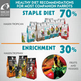 Hari Hagen Tropimix Enrichment Food for Small Parrots, 20 lb. (9.07 kg) - HARI Small Parrot Food with Seeds, Fruit, Nuts, Vegetables, Grains, and Legumes