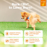 Zesty Paws Stay Green Bites for Dogs - Grass Burn Soft Chews for Lawn Spots Caused by Dog Urine - with Cranberry for Urinary Tract & Bladder - Beef - 90 Count