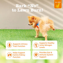 Load image into Gallery viewer, Zesty Paws Stay Green Bites for Dogs - Grass Burn Soft Chews for Lawn Spots Caused by Dog Urine - with Cranberry for Urinary Tract &amp; Bladder - Chicken - 90 Count
