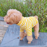 Pack of 2 Cute Doggie Embroidery Puppy Coat Turtleneck Stretchy Dog Sweater Super Soft Pet Cold Weather Coat for Cats Dogs(Large, Yellow+Brown)