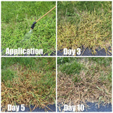 Quinclorac 1.5 L -(1/2 gal.) Compare to Drive XLR8- Kills Crabgrass