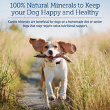 Rx Vitamins Canine Minerals - Essential Minerals for Dogs - Calcium, Magnesium, Iron Supplement, Bone and Joint Supplement for K9, Immune Support - 16oz
