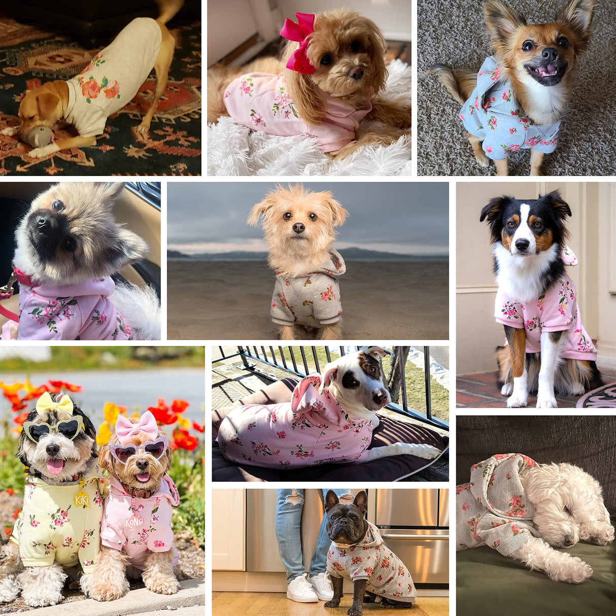 Blueberry Pet Floral Dog Hoodie, Rose Print Pullover Sweatshirt for Large Dogs, 20" Back Length, Lightweight Spring Outfit in Pastel Yellow