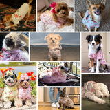 Blueberry Pet Floral Dog Hoodie, Rose Print Pullover Sweatshirt for Large Dogs, 20" Back Length, Lightweight Spring Outfit in Pastel Yellow