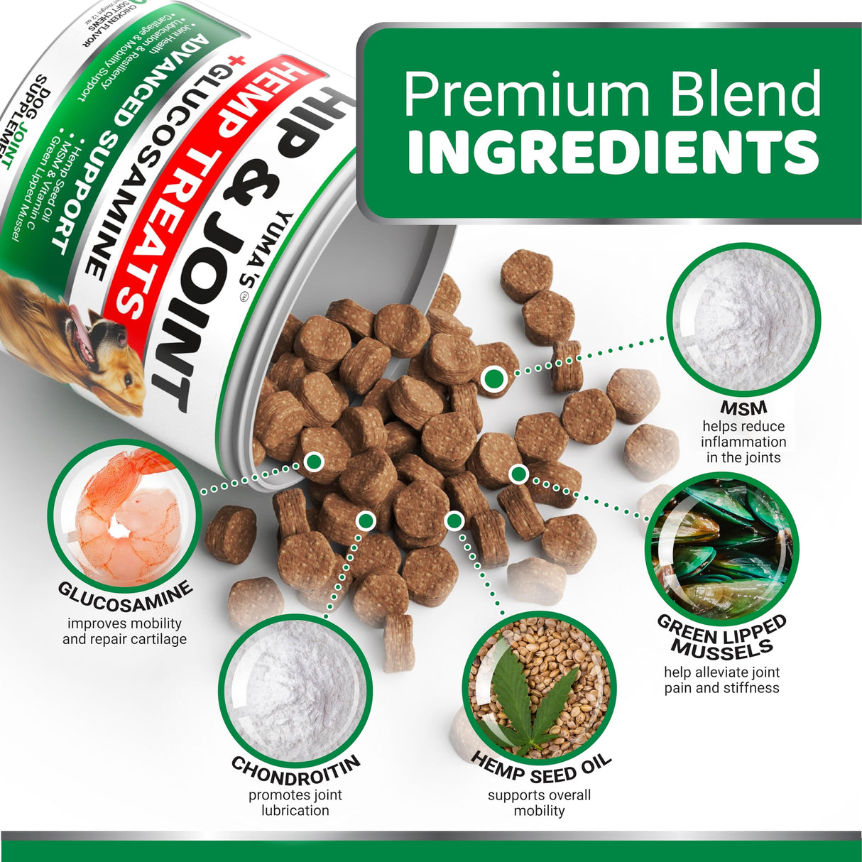 YUMA'S Hemp Hip and Joint Supplement for Dogs - Glucosamine for Dogs - 170 Joint Pain Relief Chews - Chondroitin, MSM - Hemp Oil - Advanced Canine Health Supplement - Mobility Support Treats