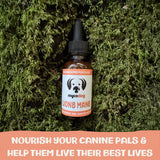 MycoDog Lions Mane Mushroom Supplement for Dogs - Cognitive & Brain Health - Lions Mane for Dogs - Senior Dog Wellness Drops