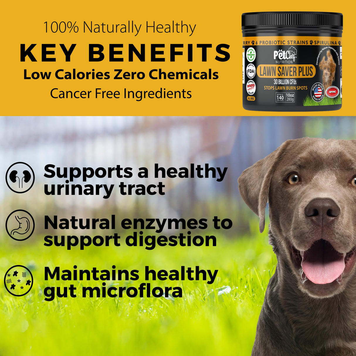 Pet Chef Dog Urine Neutralizer for Lawn Grass Burn Spot Saver Soft Chews Helps Reduce Yellow Spots & Protect Yard Plant-Safe Lawn Support Supplement 140 Chews Vegan Bacon