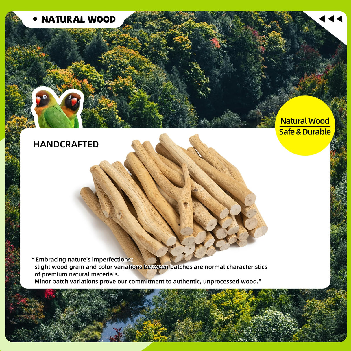 Pecirvoli Natural Wood Bird Perch & Play Stand for Parakeets/Cockatiels - Multi-Level Cage Accessory with Training Branch