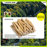 Pecirvoli Natural Wood Bird Perch & Play Stand for Parakeets/Cockatiels - Multi-Level Cage Accessory with Training Branch