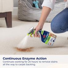 Load image into Gallery viewer, Bissell Pet Pro Stain and Odor Eliminator with Enzyme Action, 2 pack, 77X7F
