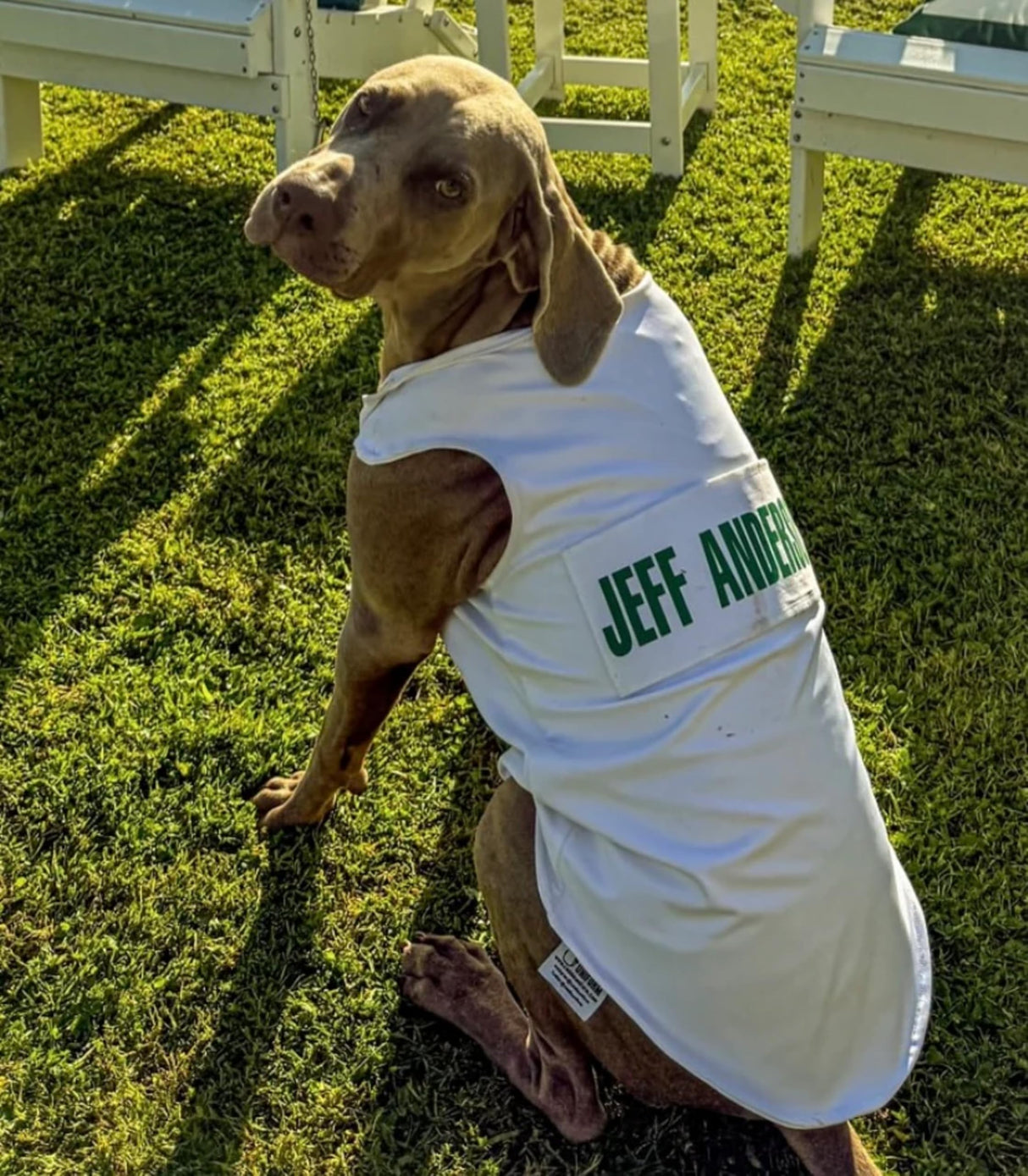 Golf Caddie Bib for Dogs (White) - Personalized Golf Caddy Bib