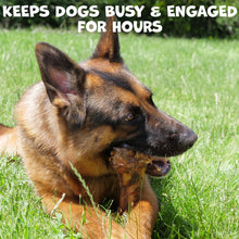 Load image into Gallery viewer, Pack Approved Beef Shin Bones for Dogs - Liver Coated Long Lasting Dog Chews for Aggressive Chewers - Rawhide-Free Big Bones for Large Dogs - Healthy Large Dog Bone (1 Pack)
