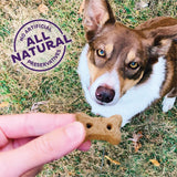 Old Mother Hubbard Wellness P-Nuttier Dog Biscuits, Natural, Training Treats, Peanut Butter Flavor, Mini Size, (6 Pound Box)