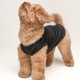 Big Sister Dog Tee Shirt | Sleeveless | Sizes for Puppies, Toys and Large Breeds (Black, 6X-Large 895)