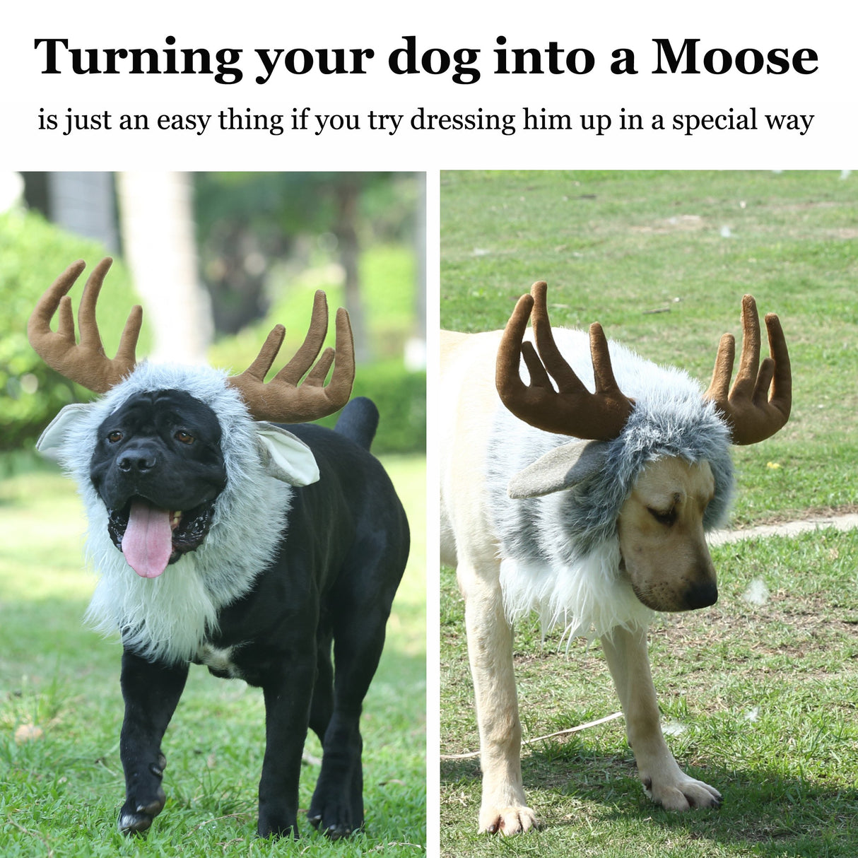 Onmygogo Funny Dog Halloween Costumes, Cute Furry Pet Wig for Halloween Christmas, Pet Clothing Accessories (Moose, Size M)