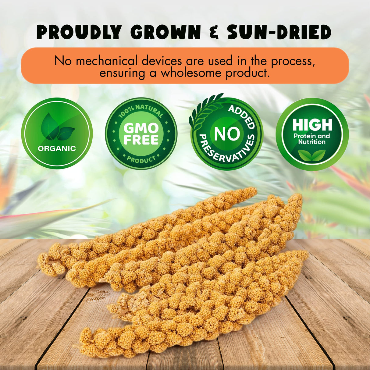 Vivlly 5LBS GMO-Free Sun Dried Spray Millet - Original Bird Treat Millet for Parakeets, Cockatiels, Finches & More - Non-GMO, High in Amino Acids, Easy Storage, Tasty & Healthy Bird Snacks (5 lbs)