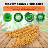 Vivlly 5LBS GMO-Free Sun Dried Spray Millet - Original Bird Treat Millet for Parakeets, Cockatiels, Finches & More - Non-GMO, High in Amino Acids, Easy Storage, Tasty & Healthy Bird Snacks (5 lbs)