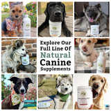 Wholistic Pet Organics Canine Complete - Dog Multivitamin Powder - 1 Lb - Daily Dog Vitamins and Supplements for Homemade Food - Immune System, Skin, Coat & Overall Health - All Breeds - 45 Scoops