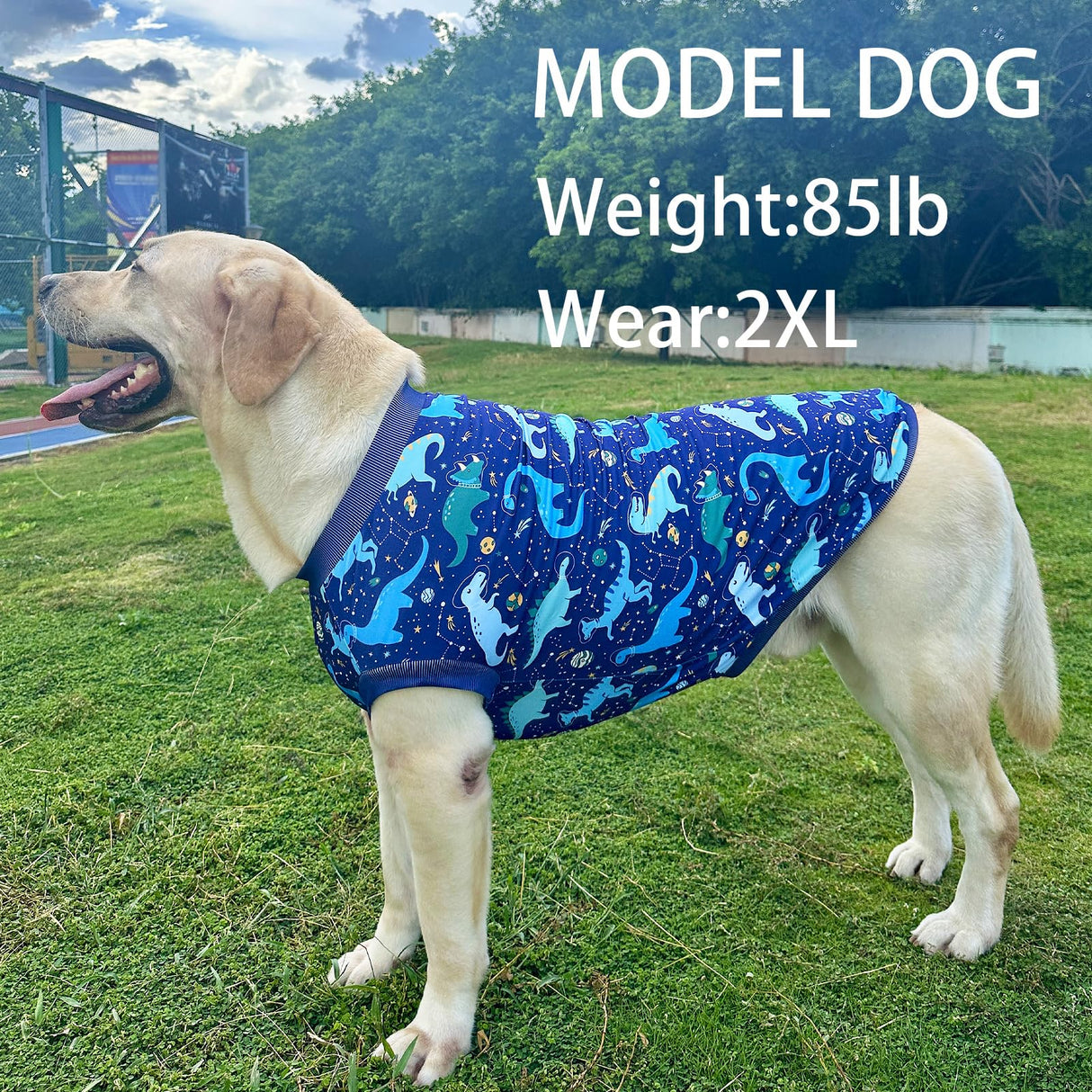 PriPre Dog Navy Sleeveless T Shirts with Universe Dinosaur Pattern Printed Soft Vest for Large Dogs (XL, Vest)