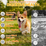 Probiotics for Dogs - 6 Digestive Probiotics & 6 Enzymes for Itchy Skin,Digestion & Gut Support,Helps Diarrhea, Yeast Infection, Upset Stomach,Allergies & Immune System Support-150 Chews