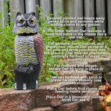 Galashield Owl Decoy to Scare Birds Away Scarecrow Fake Owl with Rotating Head