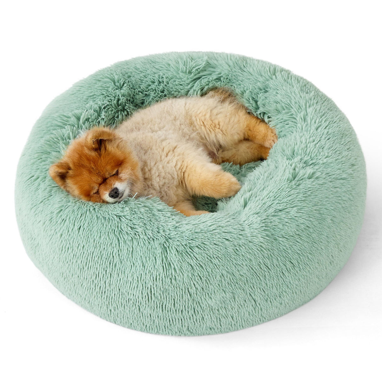 Bedsure Calming Dog Bed for Small Dogs - Donut Washable Small Pet Bed, 23 inches Anti-Slip Round Fluffy Plush Faux Fur Large Cat Bed, Fits up to 25 lbs Pets, Apple Green