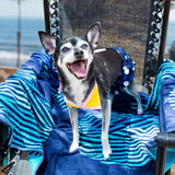 Midlee Yellow Polka Dot Dog Bikini (XX-Large)