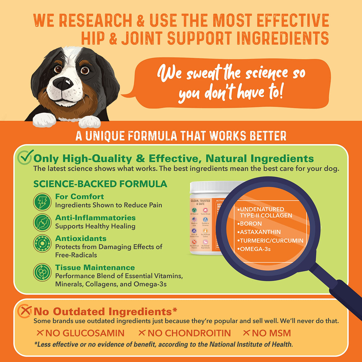 Bernie's Healthy Hips - Daily Dog Hip & Joint Supplement - 90 Soft Chews - Reduce Pain, Encourage Mobility, Slow Damage, Repair and Rebuild Hips & Joint Tissues