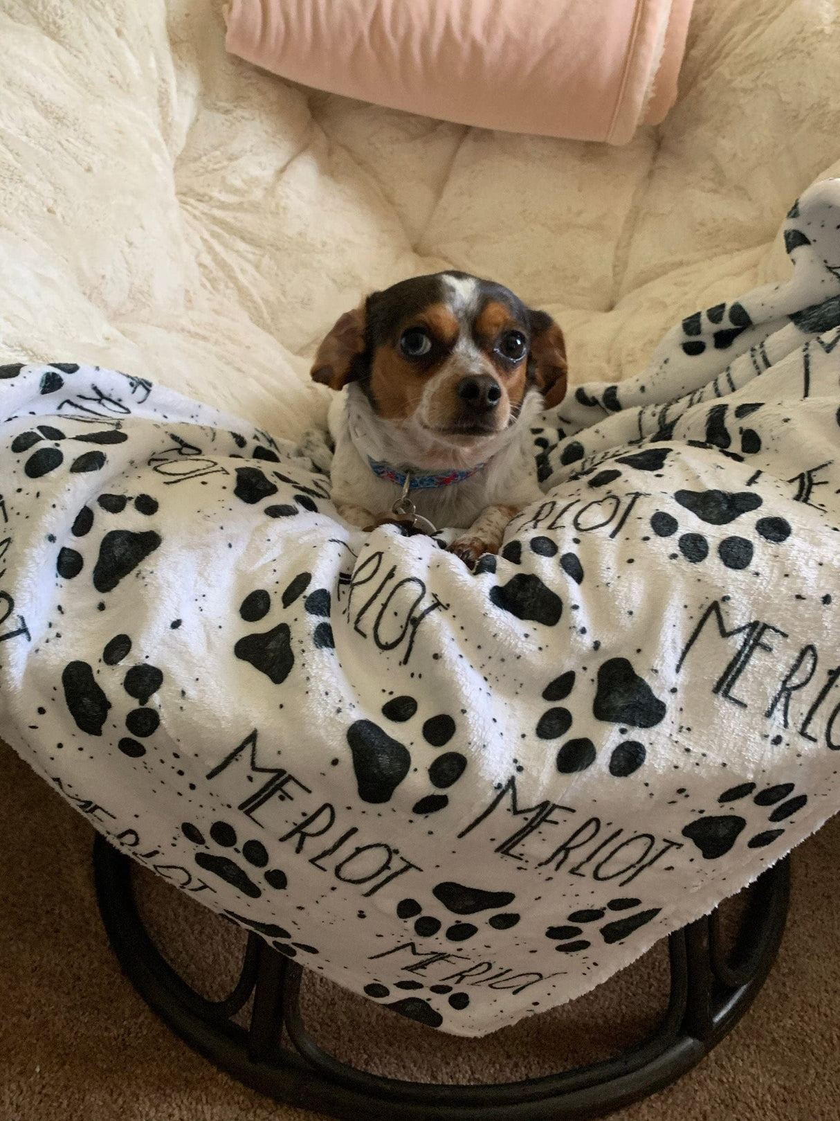 Squishy Cheeks Personalized Paw Print Dog Sherpa Blanket with Pets Name
