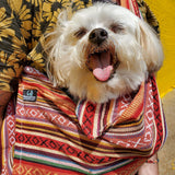 Dog Sling Carrier 100% Organic Cotton for Cats Too (Salsa)