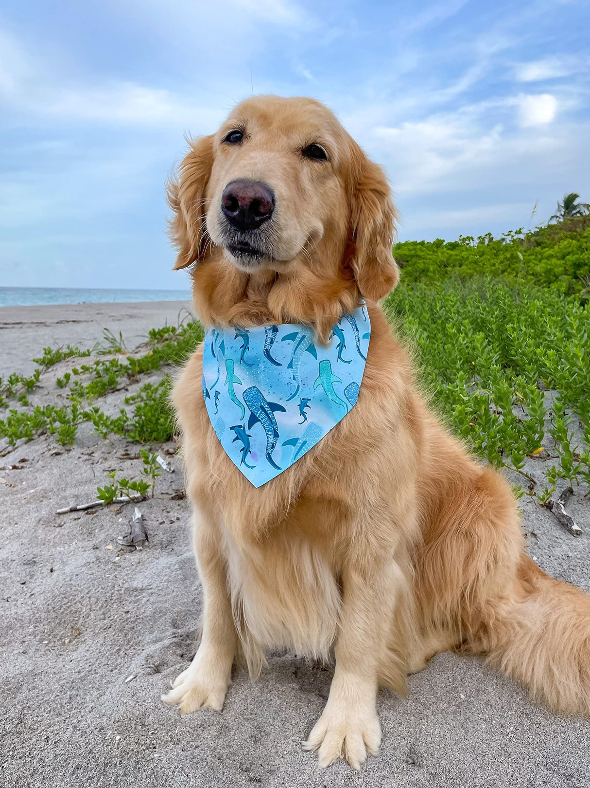 Moody Sharks Bandana (Large)