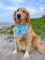 Moody Sharks Bandana (Large)