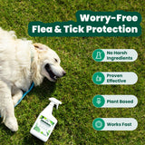 Cedarcide Original Bug Spray | Repel & Kill Fleas, Ticks, Mosquitoes, Mites, Ants & Chiggers | for use on People, Pets & Home | Natural Cedar Oil | Eco-Friendly | Quart